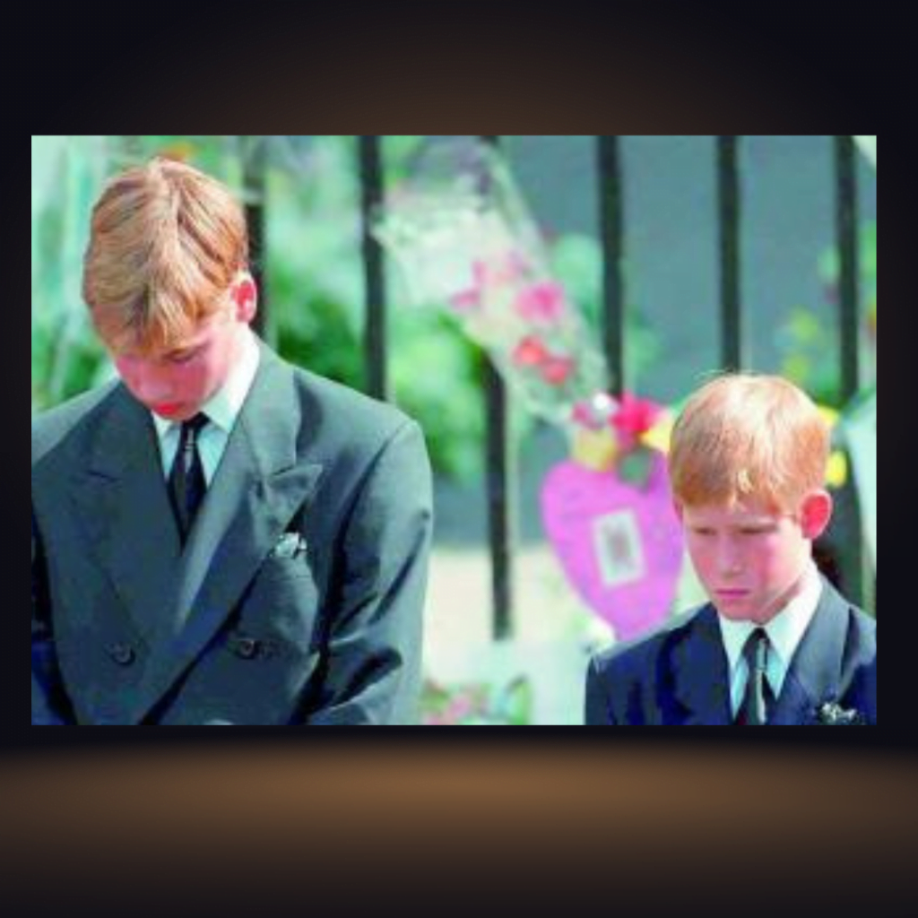 Prince William and Prince Harry during their mother's funeral