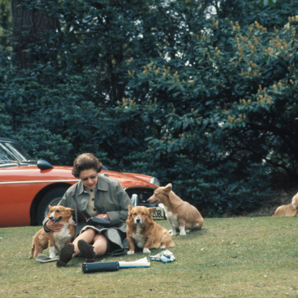 The Queen with her beloved corgis in 1973