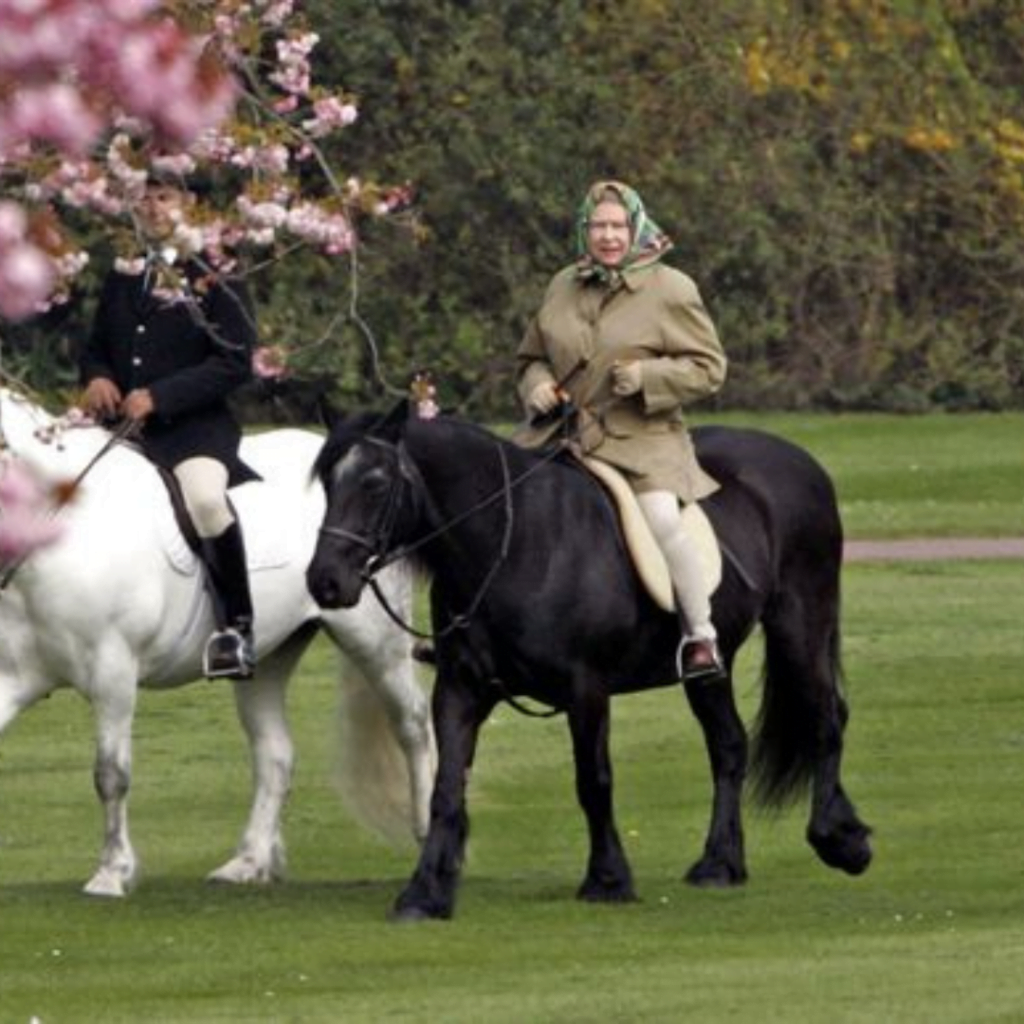 The Queen riding a fell pony in Windsor in 2020