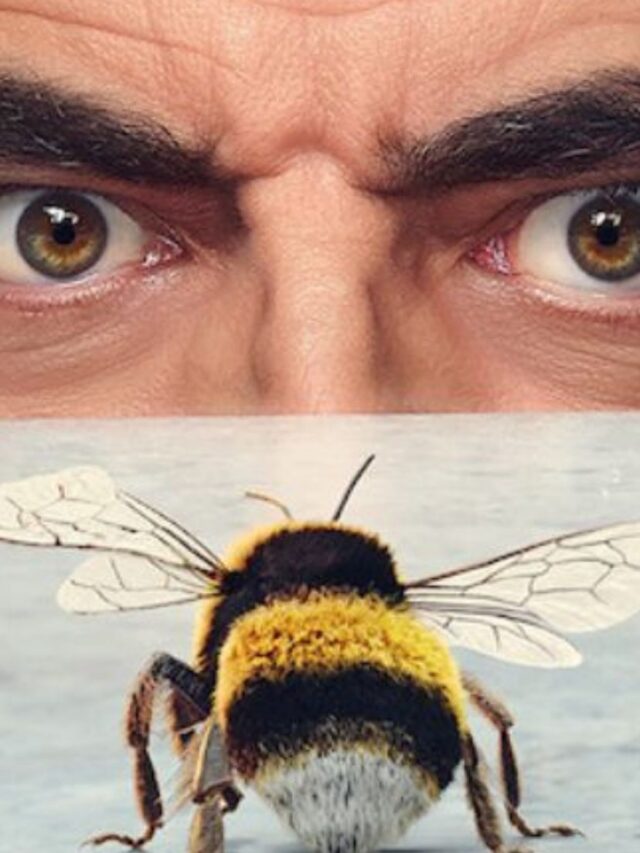 CAST  OF MAN vs BEE.